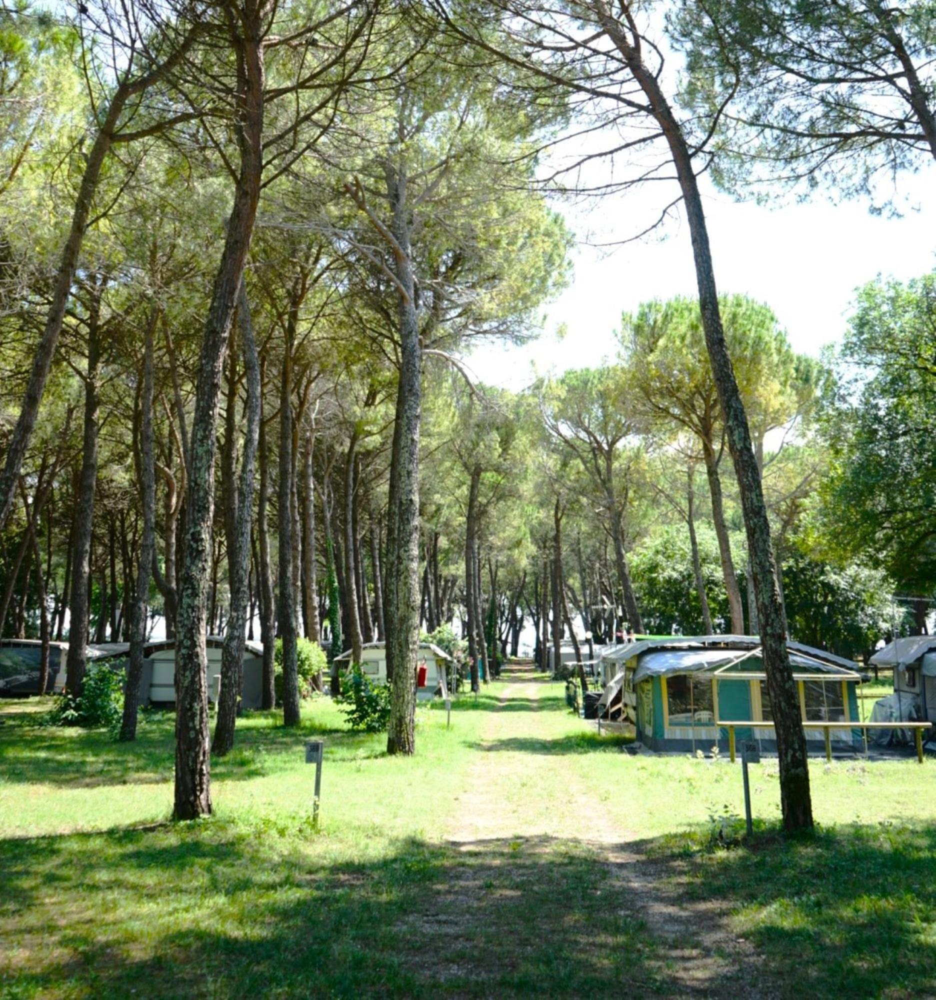Belvedere Pineta Camping Village Grado Экстерьер фото