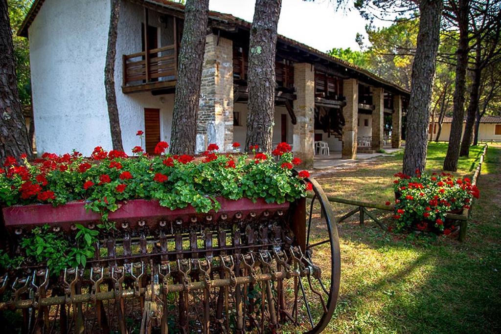 Belvedere Pineta Camping Village Grado Экстерьер фото
